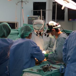 内視鏡による不整脈手術　endoscopic MAZE