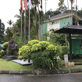 サラワ（Sarawak）は自然がいっぱいです