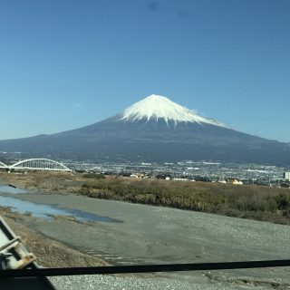 ご無沙汰致しました