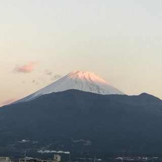 今年もよろしくお願い致します。