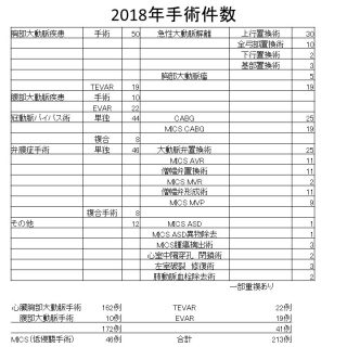 一宮西病院　心臓血管外科　2018年手術件数です