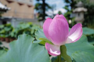 神奈川県医師会からのお願いです！